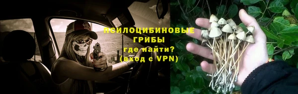 apvp Сафоново