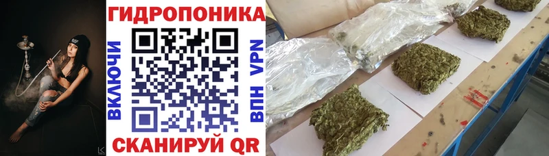 Канабис OG Kush  Стрежевой 